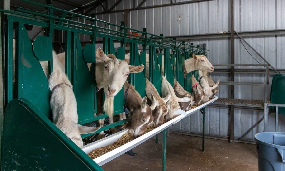 Photo of Others in Monegeetta