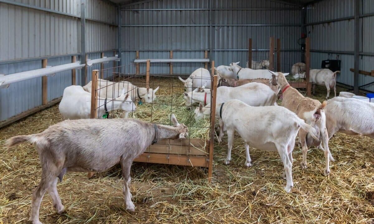 Photo of Others in Monegeetta