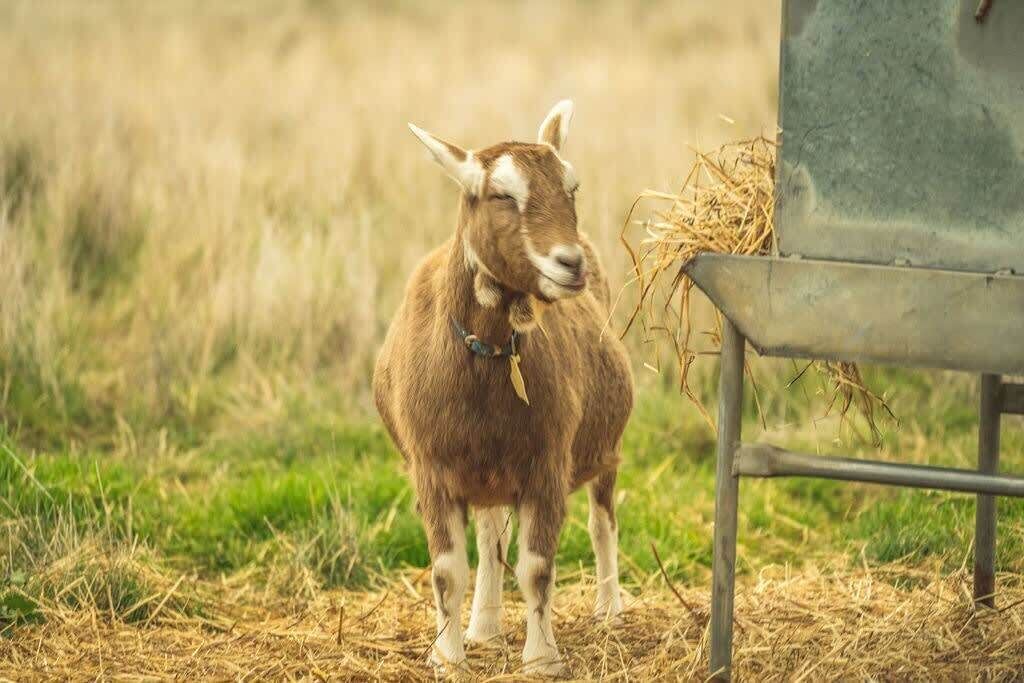 Photo of Outdoor in Monegeetta