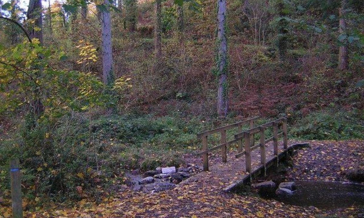 Photo of Outdoor in Willand