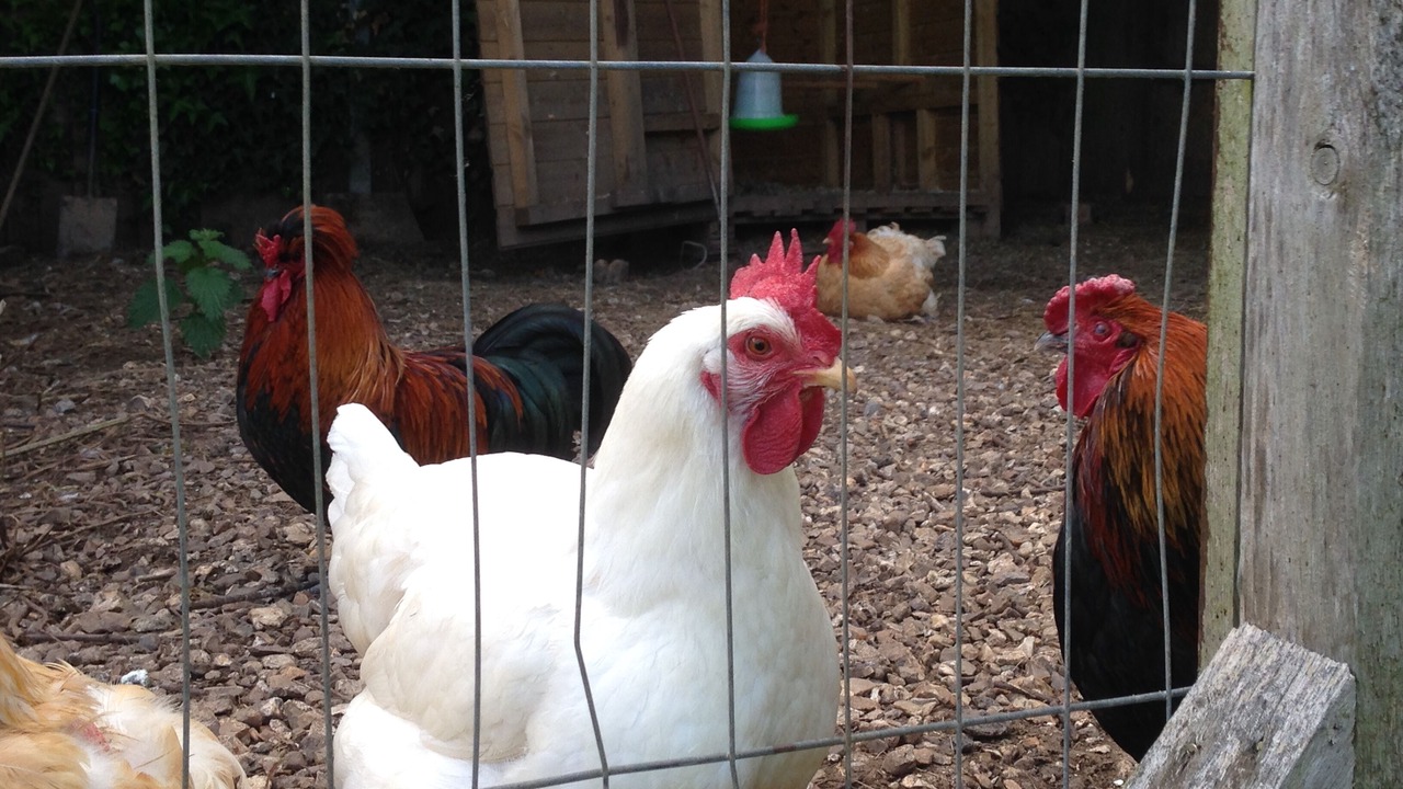 Photo of Others in Willand