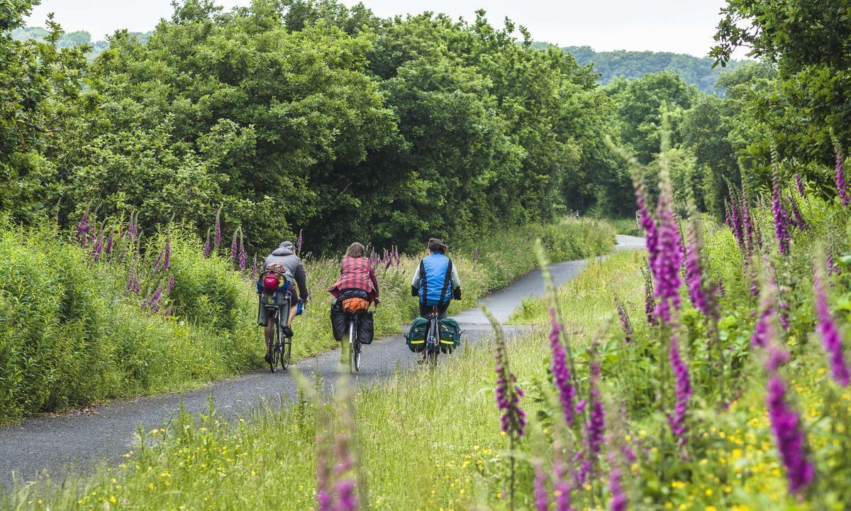 Photo of Others in Willand