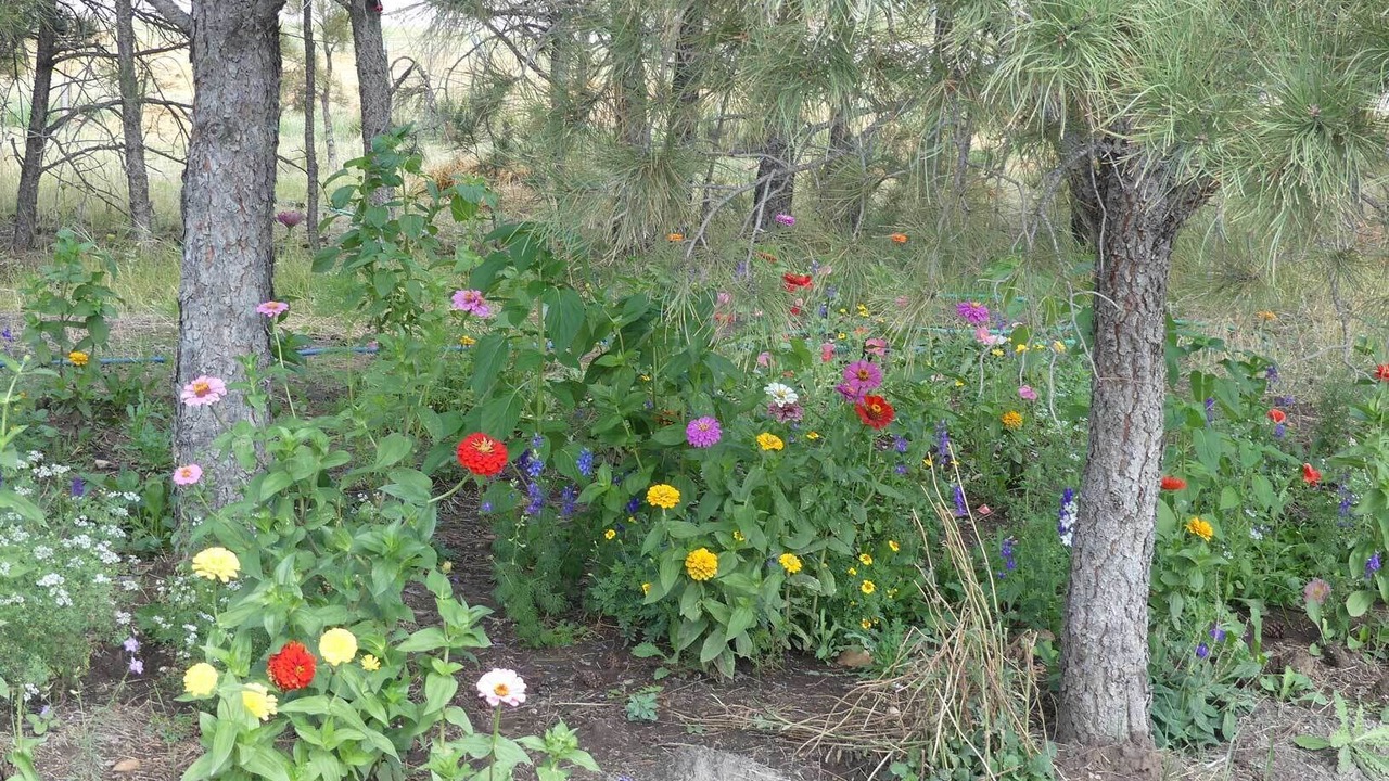 Photo of Outdoor in Newcastle