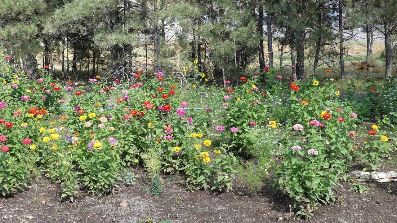 Photo of Outdoor in Newcastle