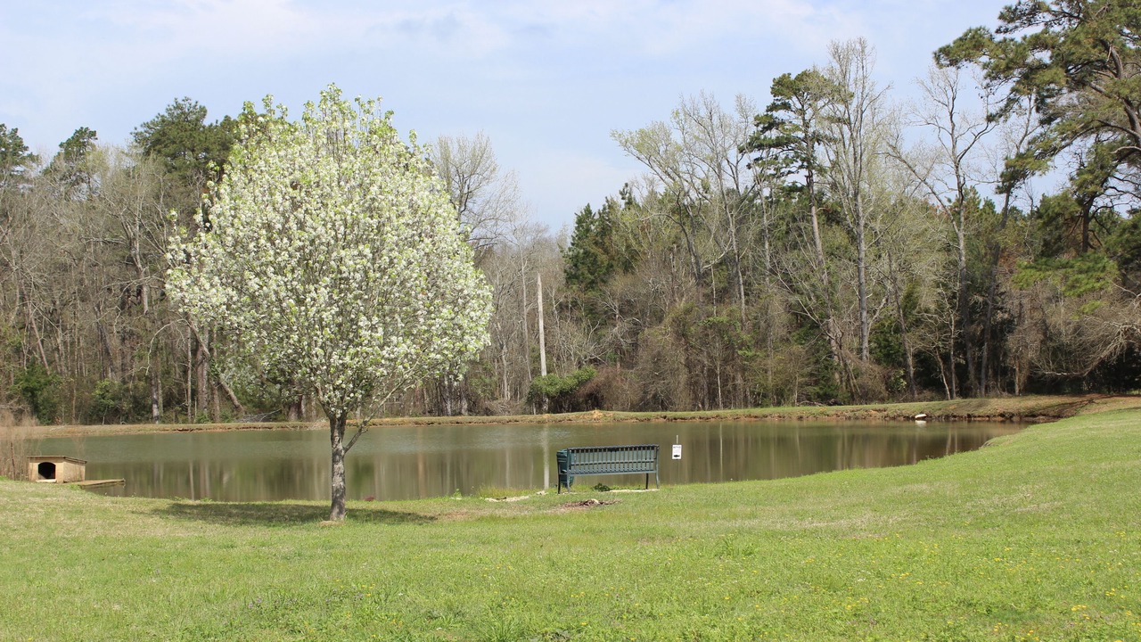 Photo of Outdoor in Crockett