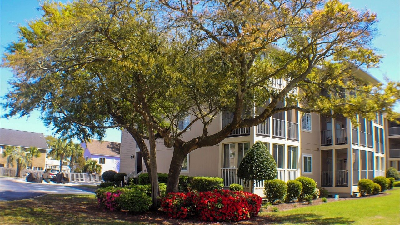Photo of Outdoor in Cherry Grove Beach