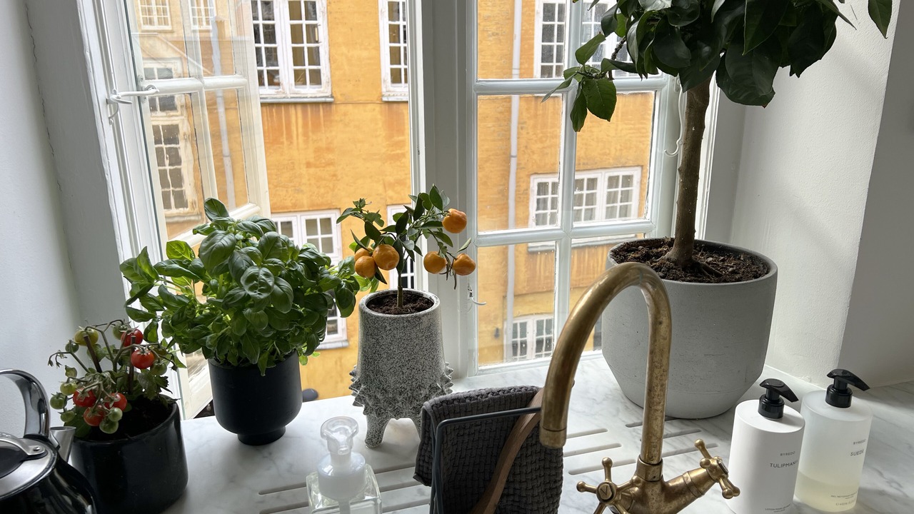 Photo of Others in Copenhagen K