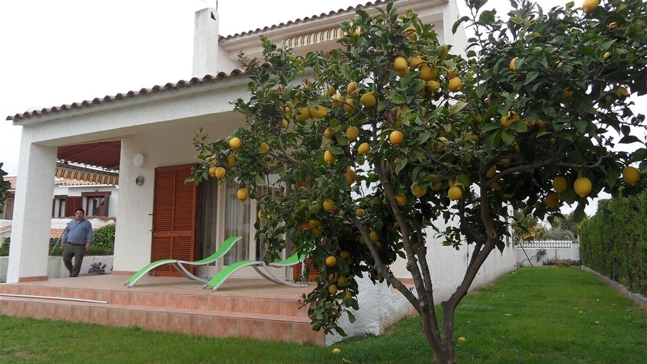 Photo of Outdoor in Roda de Bara