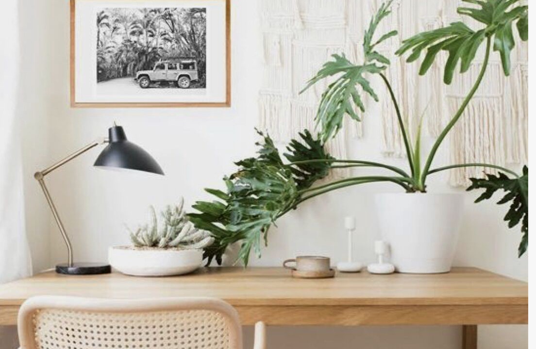 Photo of Others in Fairvilla