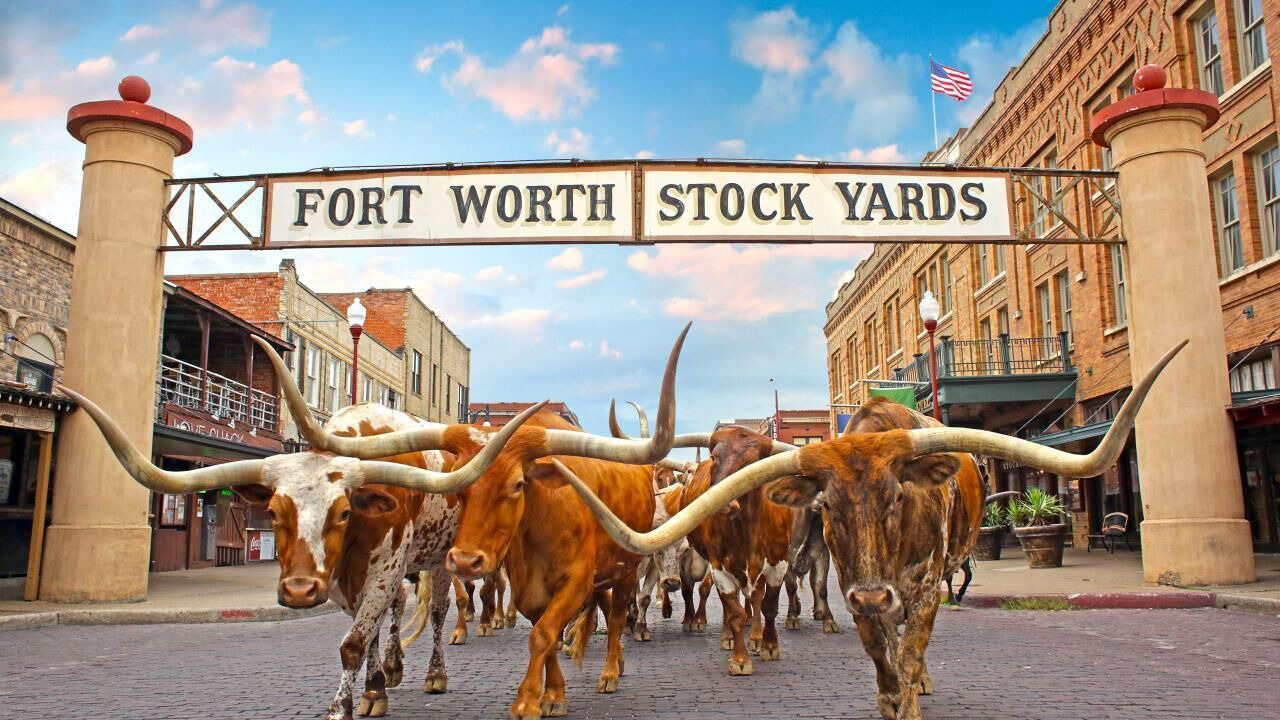 Photo of Others in Fort Worth