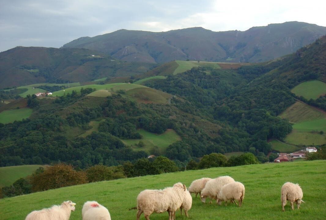 Photo of Others in Bidarray