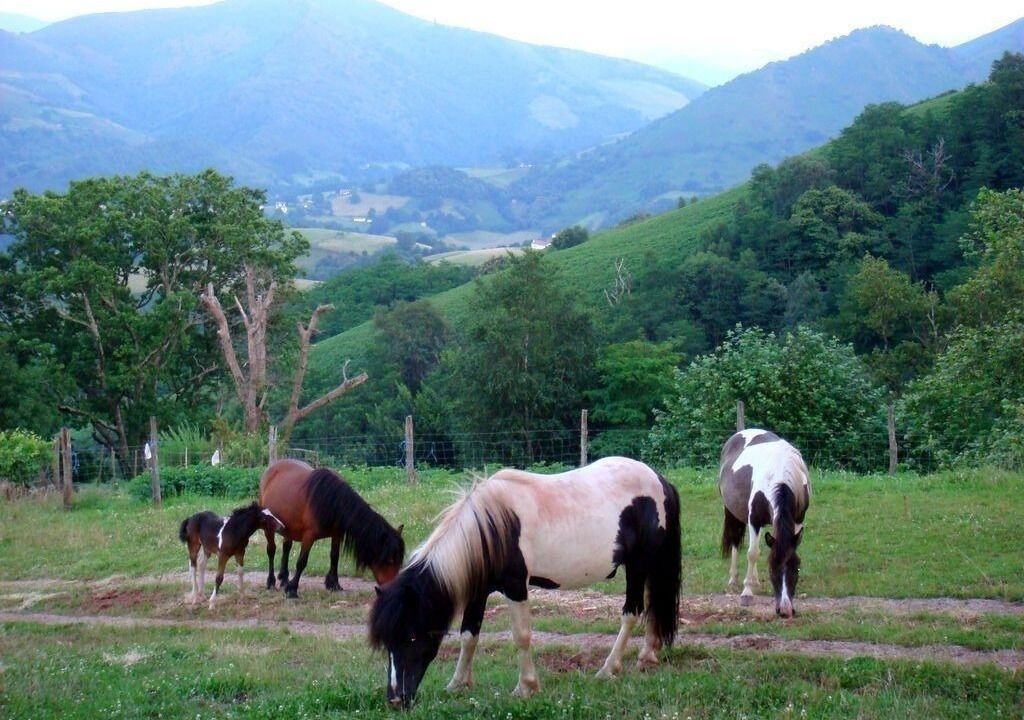 Photo of Others in Bidarray