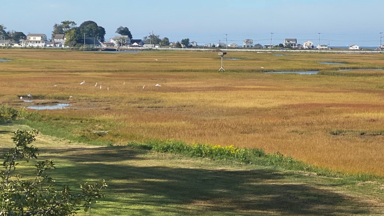 Photo of Others in Old Saybrook