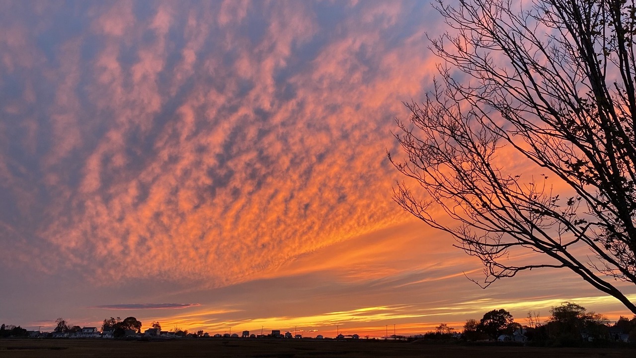 Photo of Others in Old Saybrook