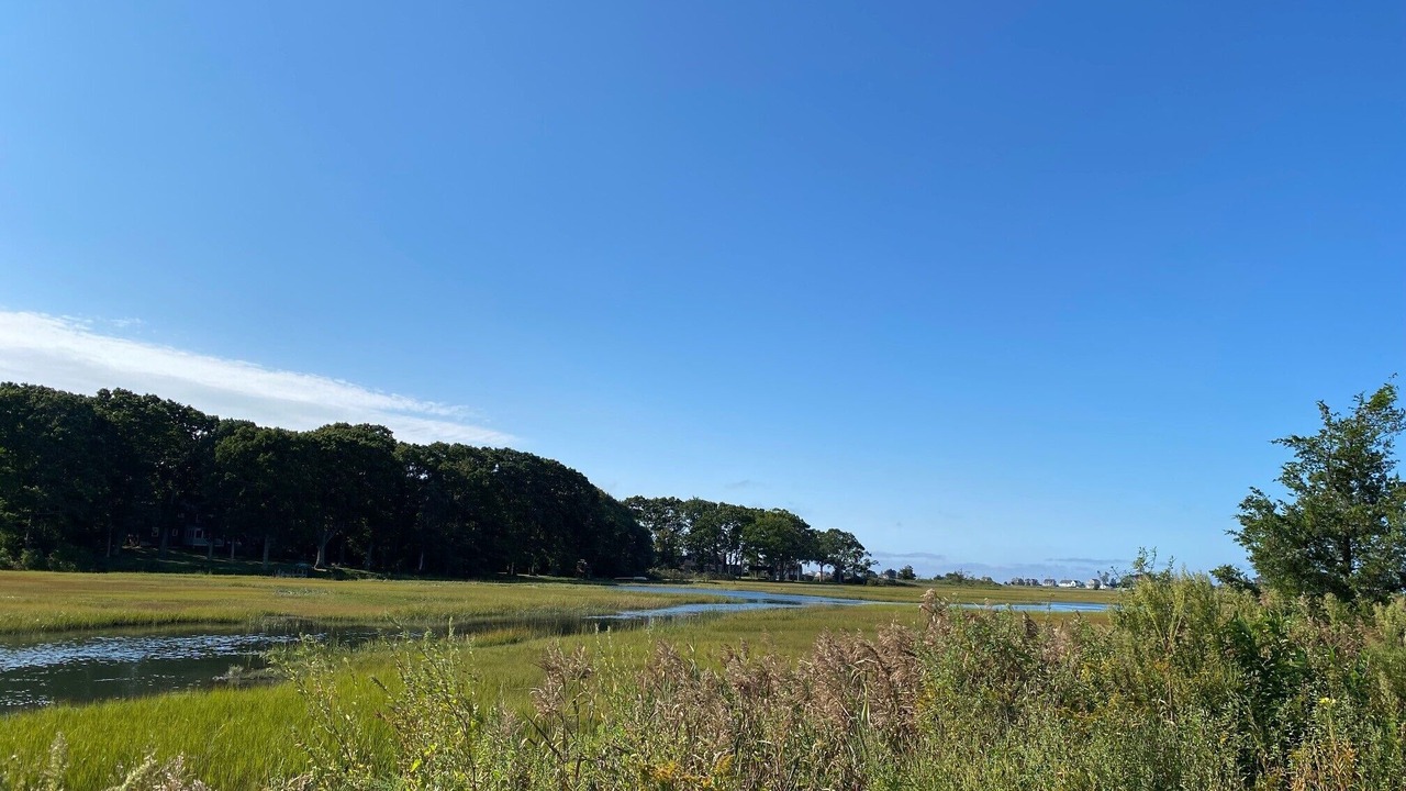 Photo of Others in Old Saybrook