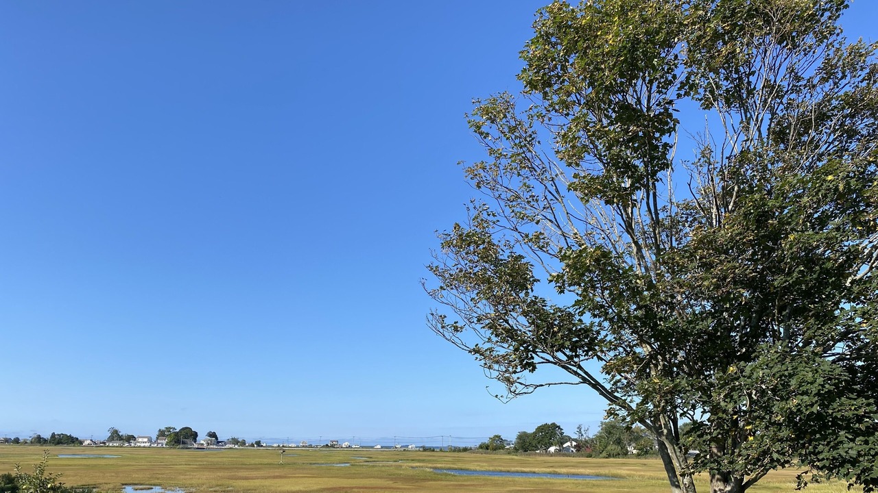Photo of Others in Old Saybrook