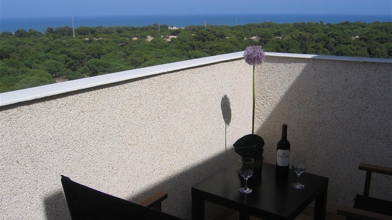 Photo of Outdoor in Guardamar del Segura