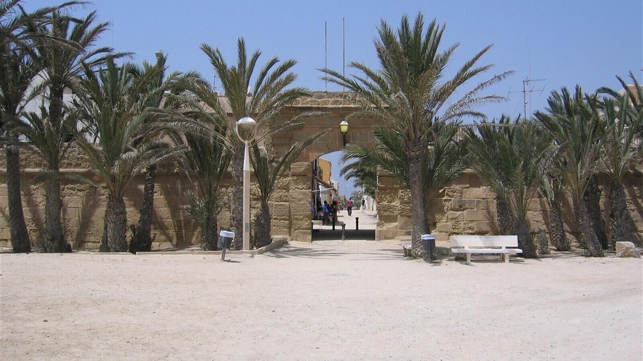 Photo of Others in Guardamar del Segura