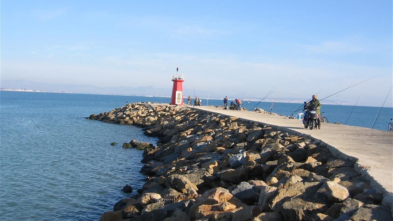 Photo of Others in Guardamar del Segura