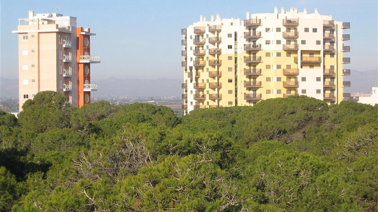 Photo of Outdoor in Guardamar del Segura
