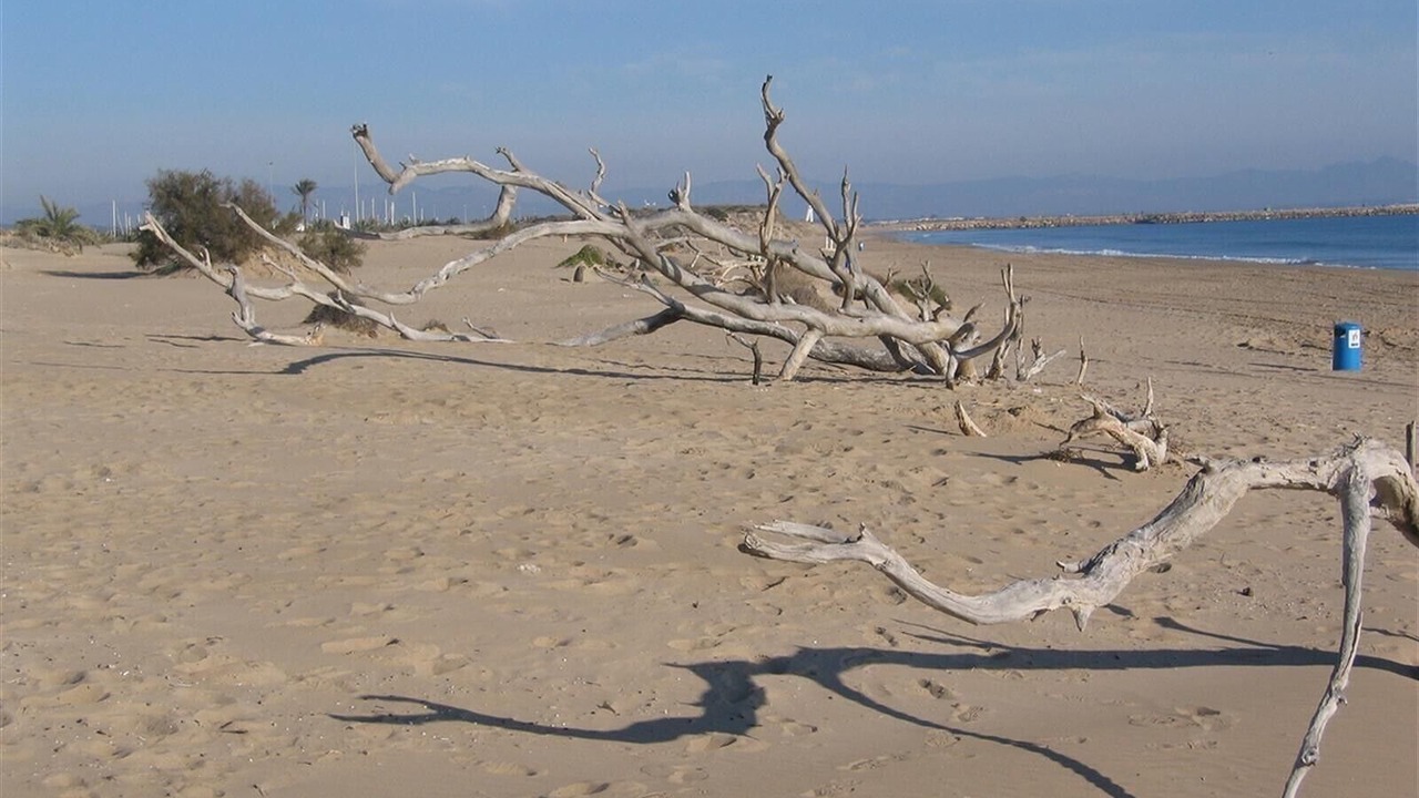 Photo of Others in Guardamar del Segura