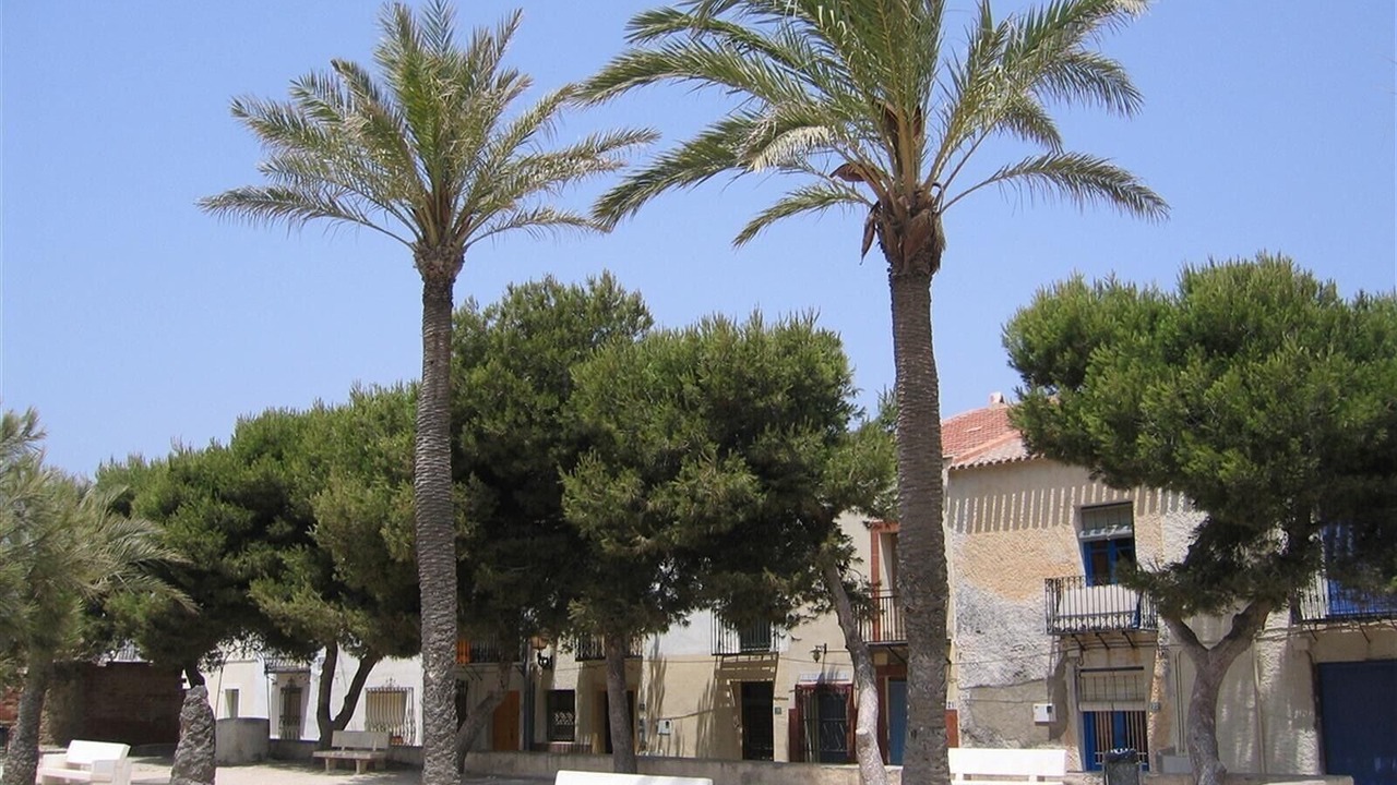 Photo of Outdoor in Guardamar del Segura
