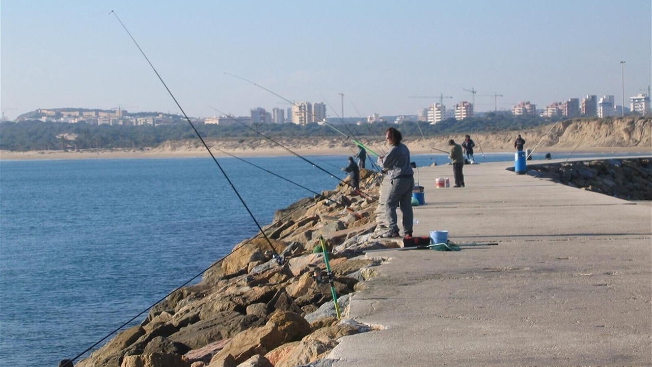 Photo of Others in Guardamar del Segura
