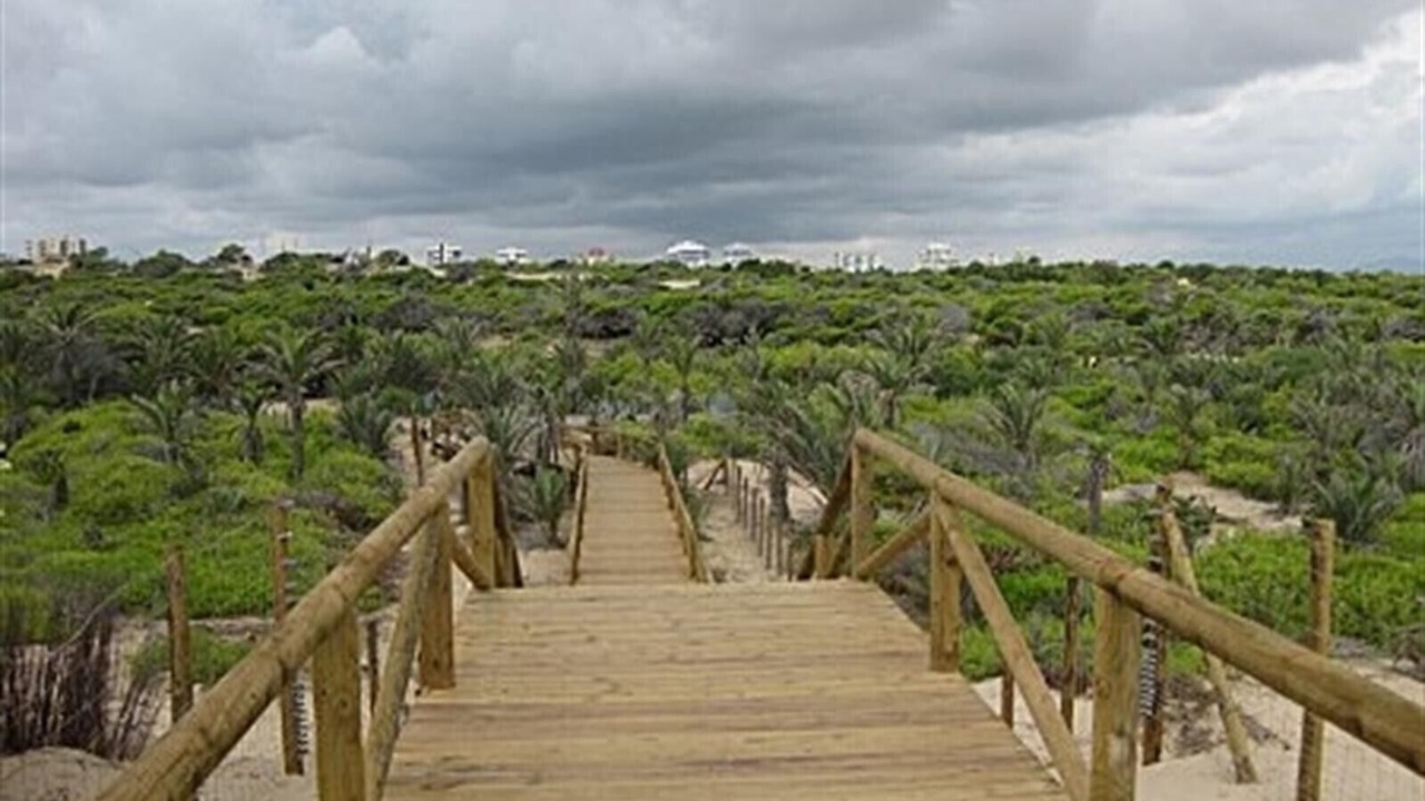 Photo of Outdoor in Guardamar del Segura