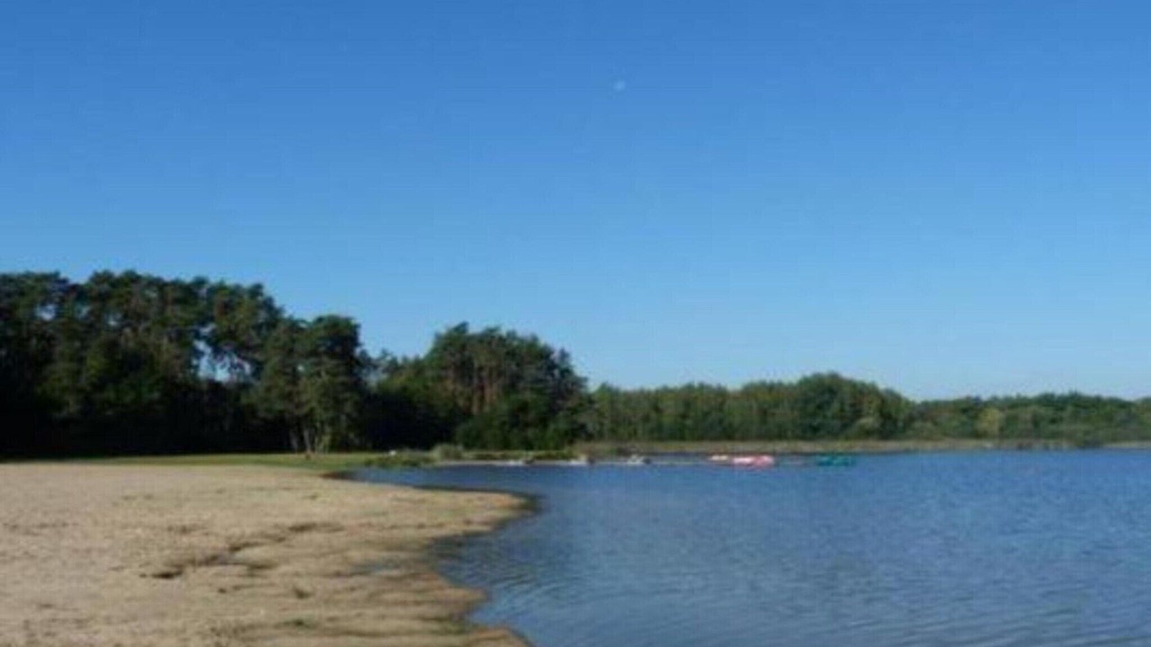 Photo of Others in Chilleurs-aux-Bois