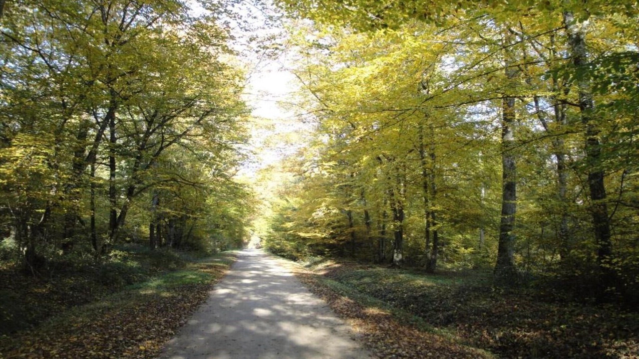 Photo of Others in Chilleurs-aux-Bois