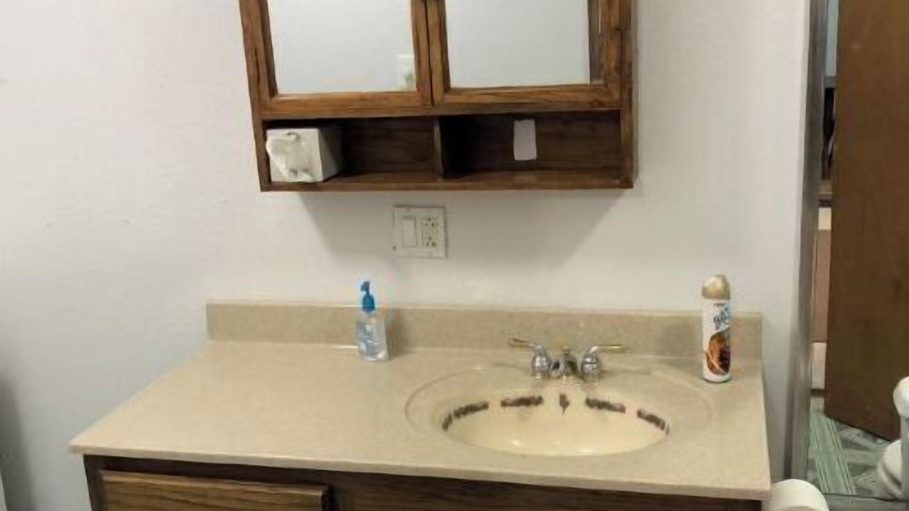 Photo of Bathroom in Orleans