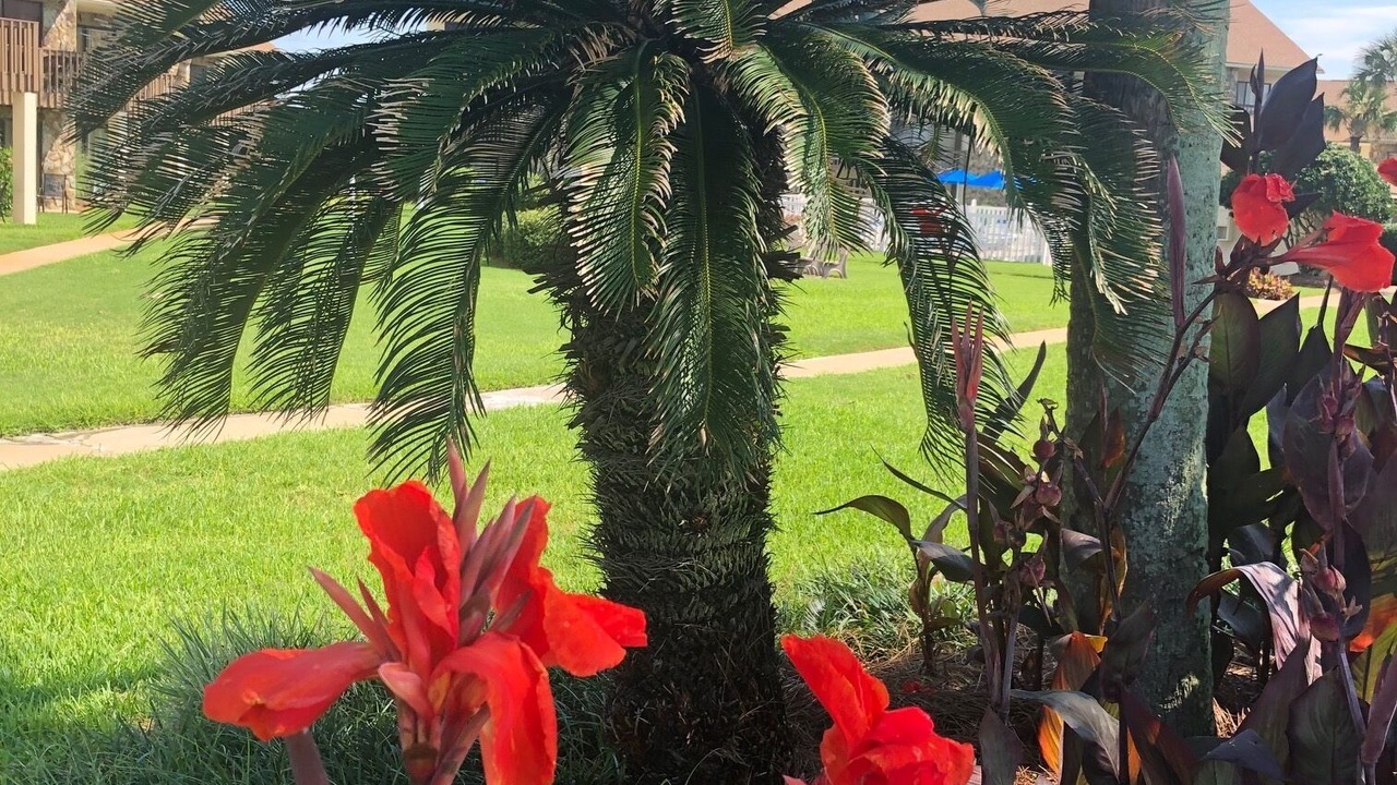 Photo of Outdoor in Avalon Beach Estates