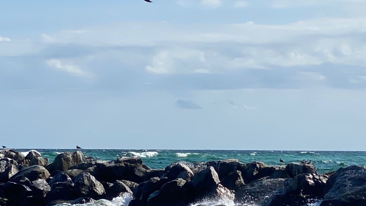 Photo of Others in Avalon Beach Estates