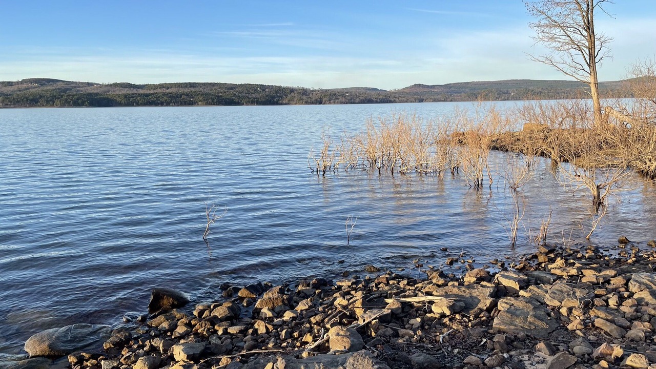 Photo of Others in Greers Ferry