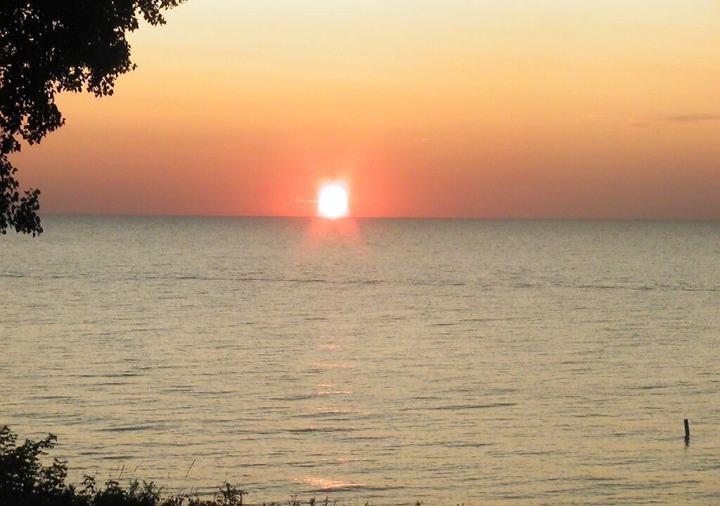 Photo of Others in Michiana