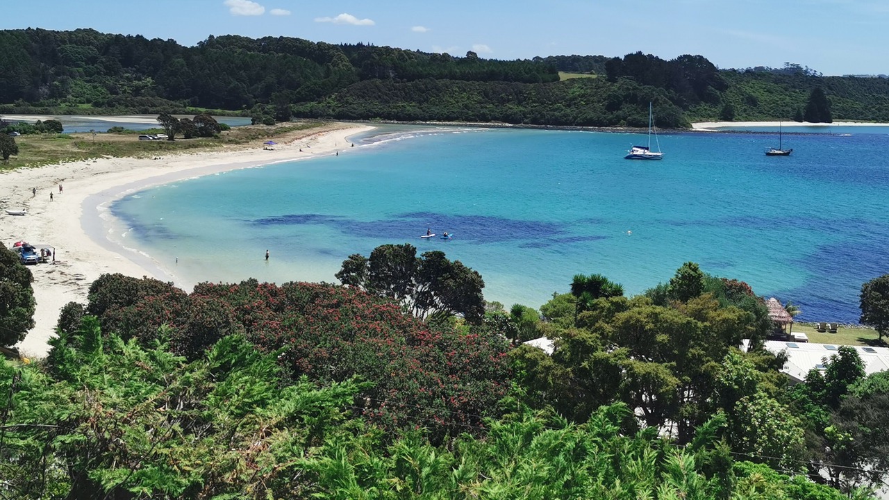 Photo of Others in Te Tii