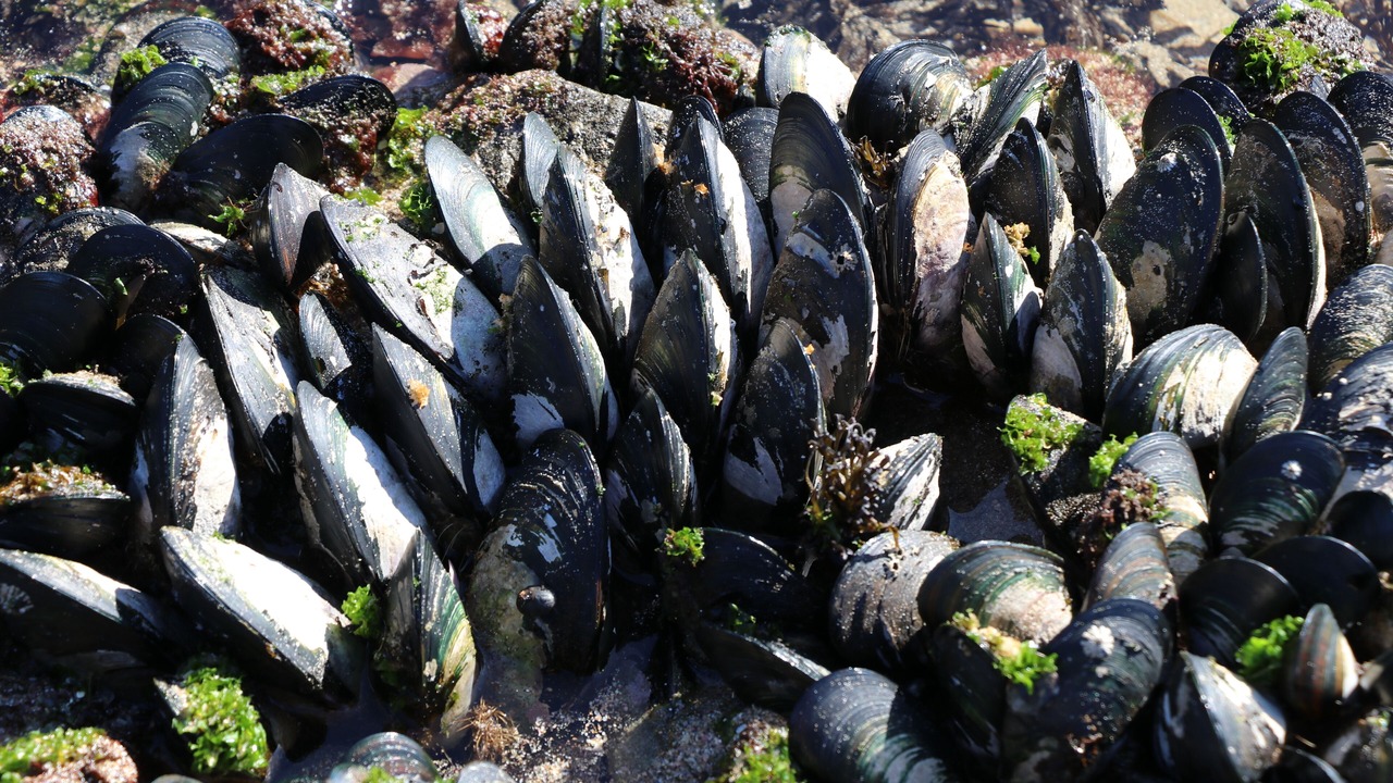 Photo of Outdoor in Te Tii