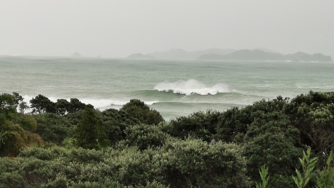 Photo of Others in Te Tii