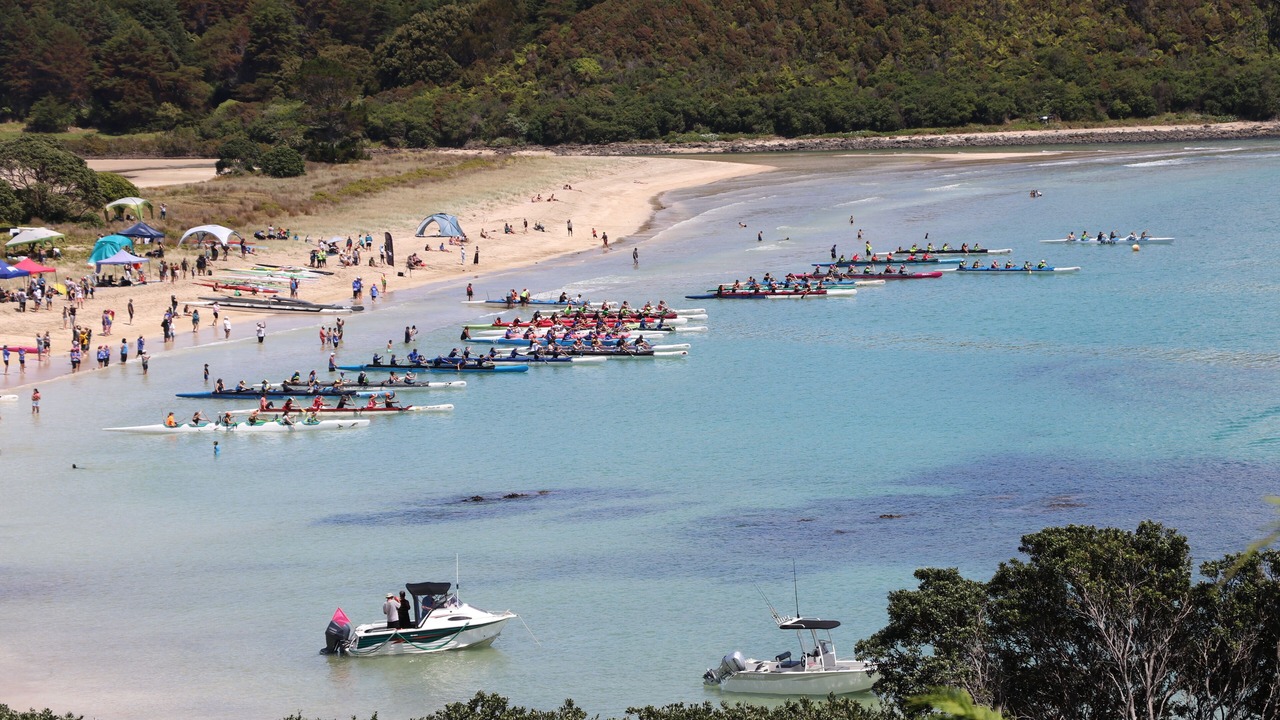 Photo of Others in Te Tii