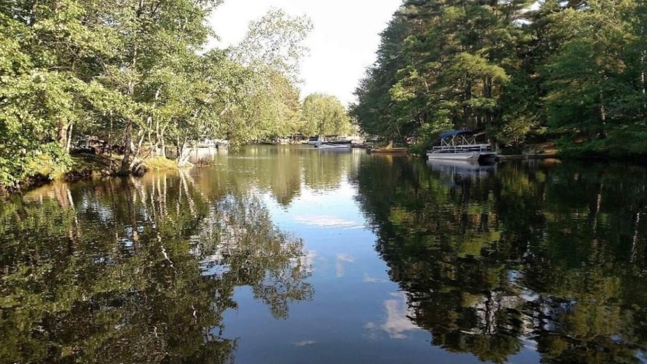 Photo of Outdoor in South Casco