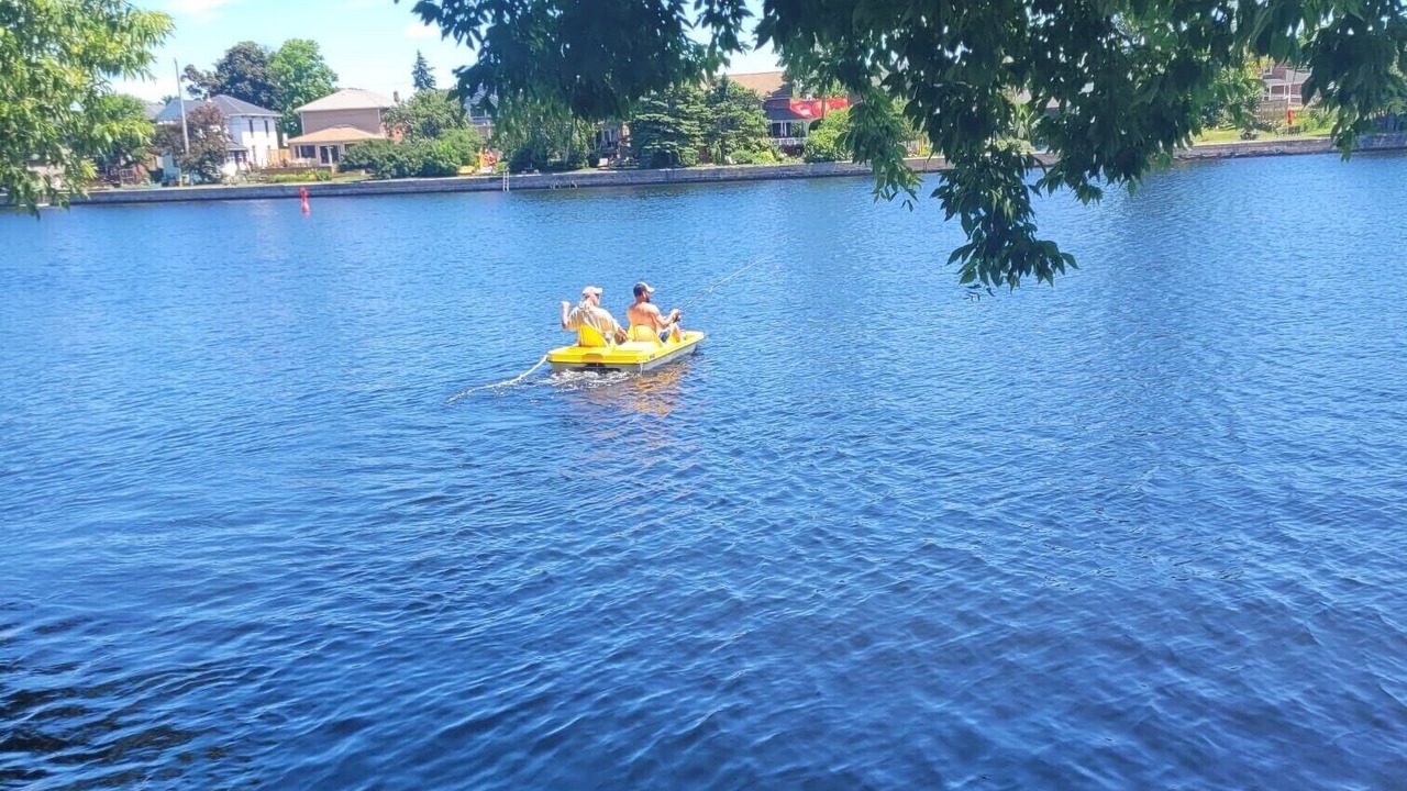 Photo of Others in Campbellford
