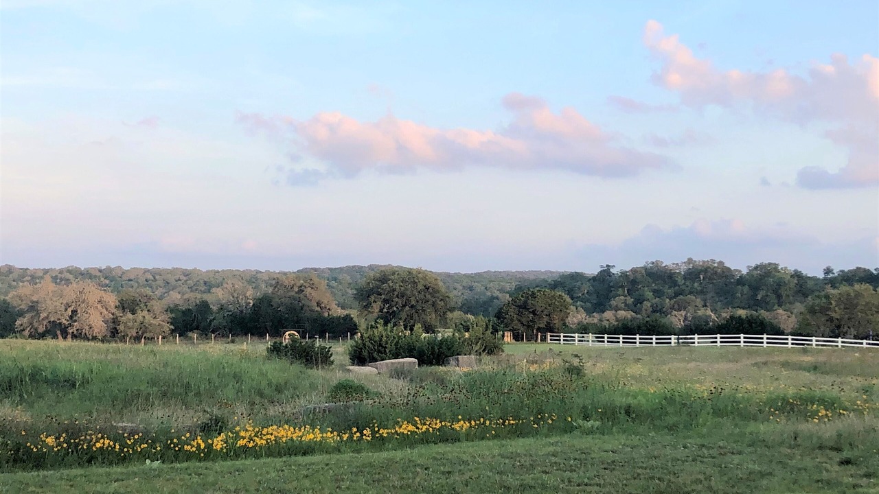 Photo of Outdoor in Dripping Springs