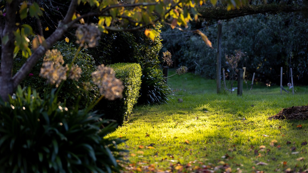 Photo of Outdoor in Colo Vale