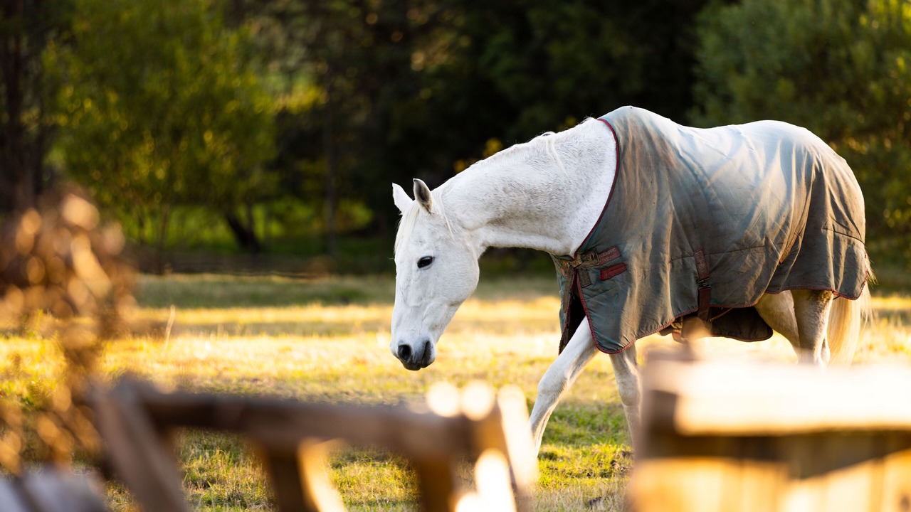 Photo of Outdoor in Colo Vale