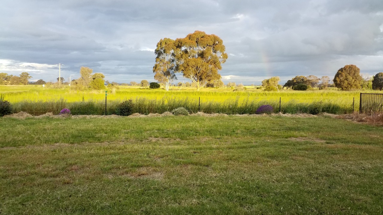 Photo of Others in Rutherglen