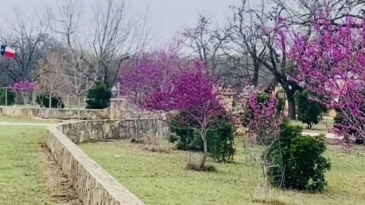 Photo of Outdoor in Bandera