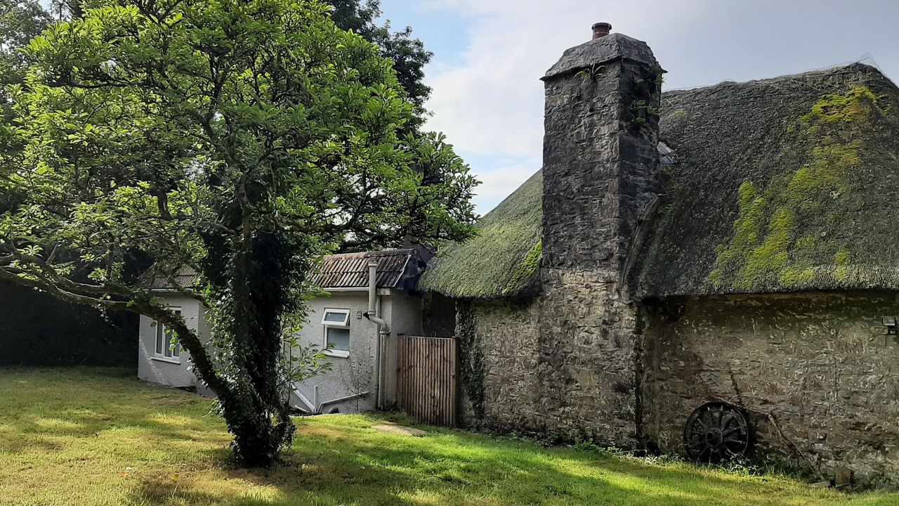 Photo of Outdoor in Newton Ferrers