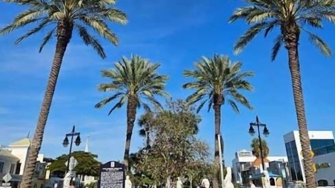 Photo of Others in Saint Armands Key