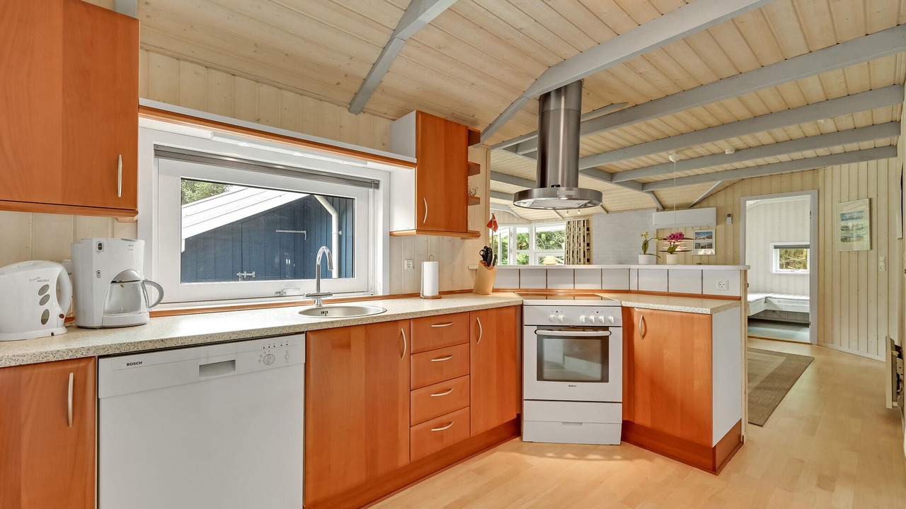 Photo of Others in Lodbjerg Hede