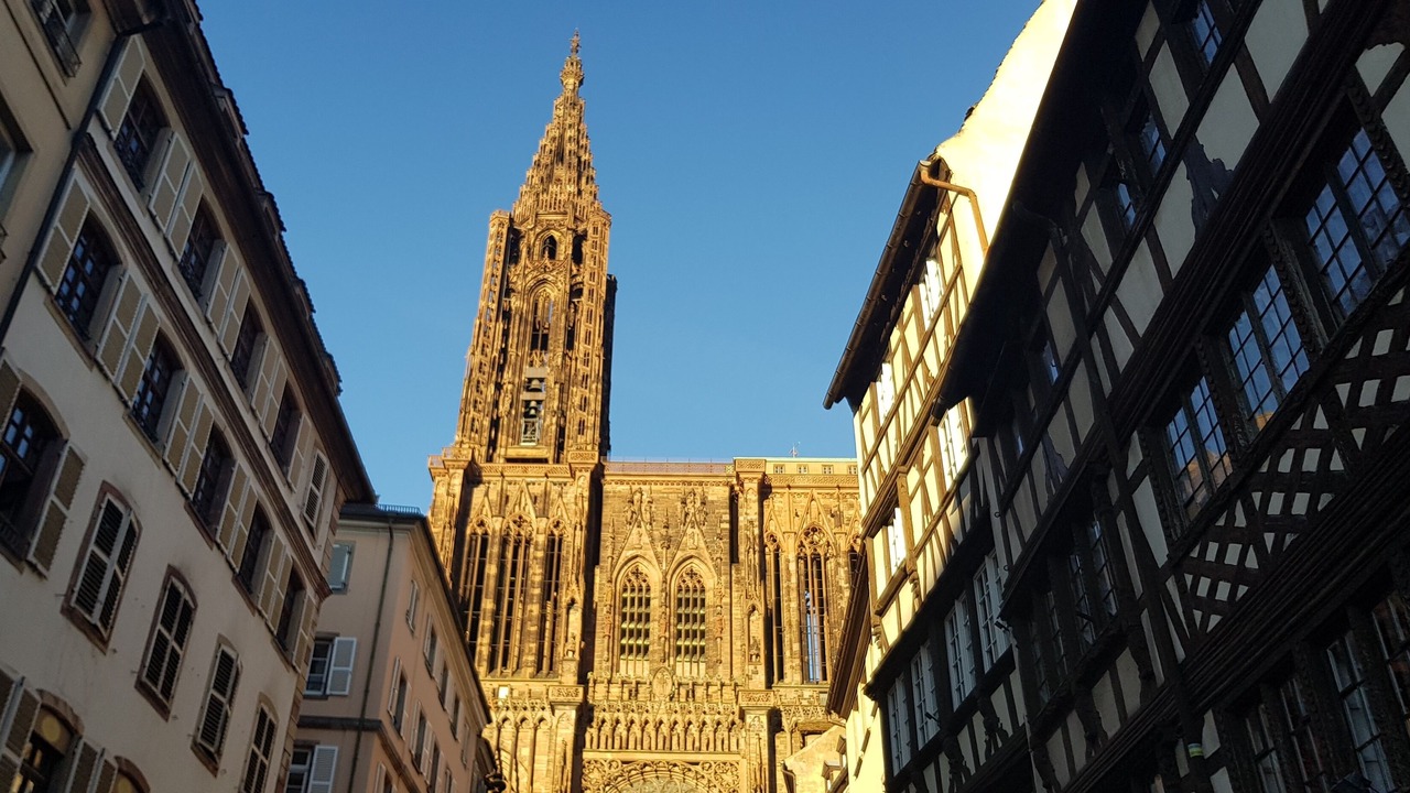 Photo of Others in Neudorf Ouest